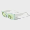 oem odm customized acetate sunglasses kas 126 14