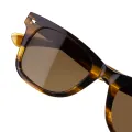 oem odm customized acetate sunglasses kas 330 11
