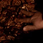 Why Choose Kssmi Eyewear